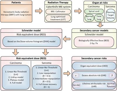 Radiation-Induced Secondary Cancer Risk Assessment in Patients With Lung Cancer After Stereotactic Body Radiotherapy Using the CyberKnife M6 System With Lung-Optimized Treatment